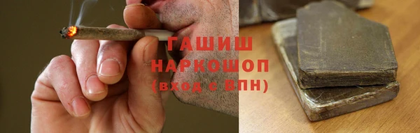 индика Балахна