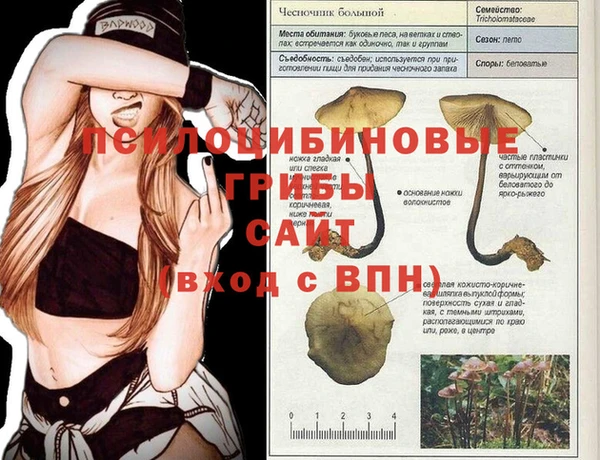 Альфа ПВП Баксан