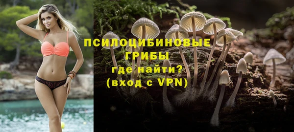 мяу мяу мука Арсеньев