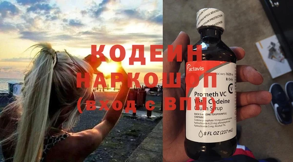 индика Балахна