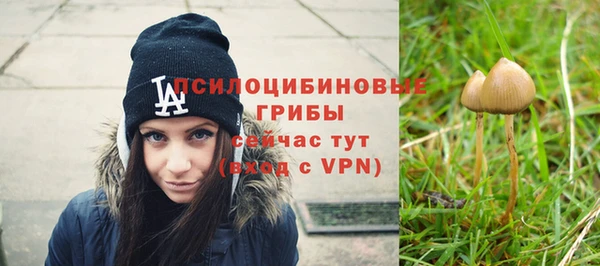 MDMA Premium VHQ Армянск