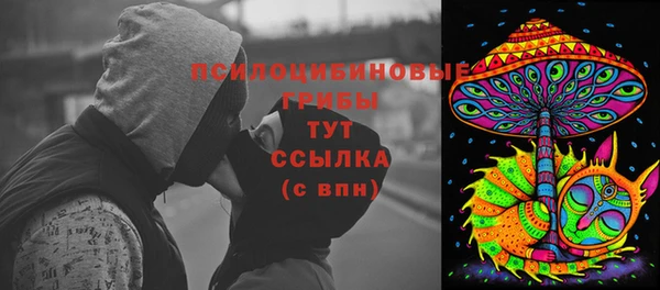 мяу мяу мука Арсеньев