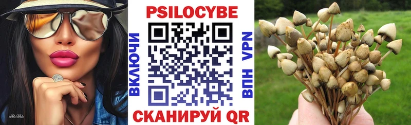 Галлюциногенные грибы Magic Shrooms  где найти   Радужный 